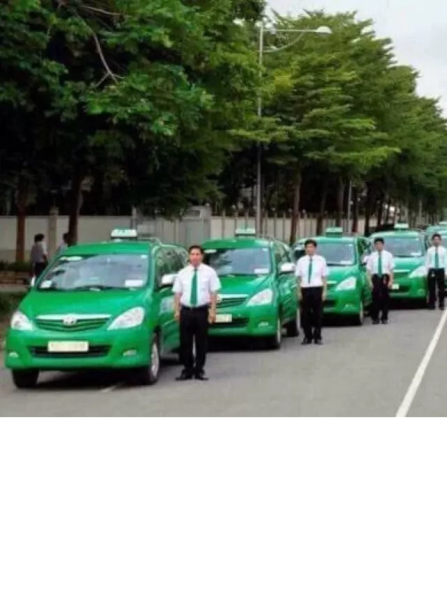   Tổng hợp các dịch vụ taxi giá rẻ tại Quy Nhơn phục vụ du lịch