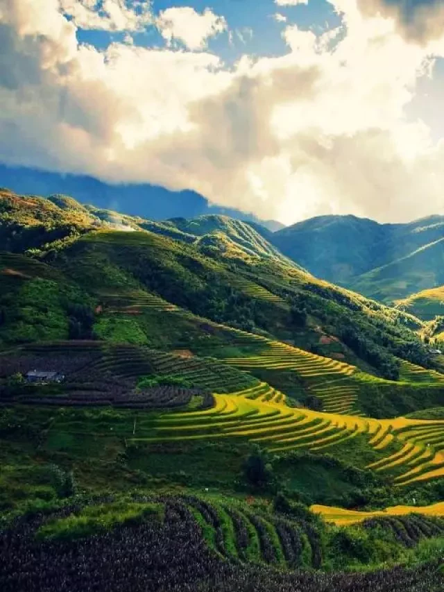   Tour Sapa Fansipan: Khám phá vẻ đẹp Sapa trong chuyến hành trình 2 ngày 1 đêm