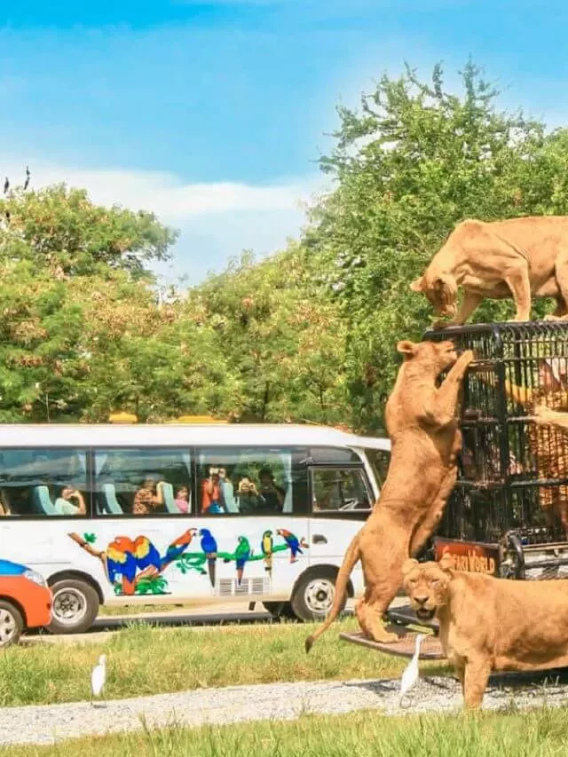   Vé máy bay Đà Nẵng đi Bangkok