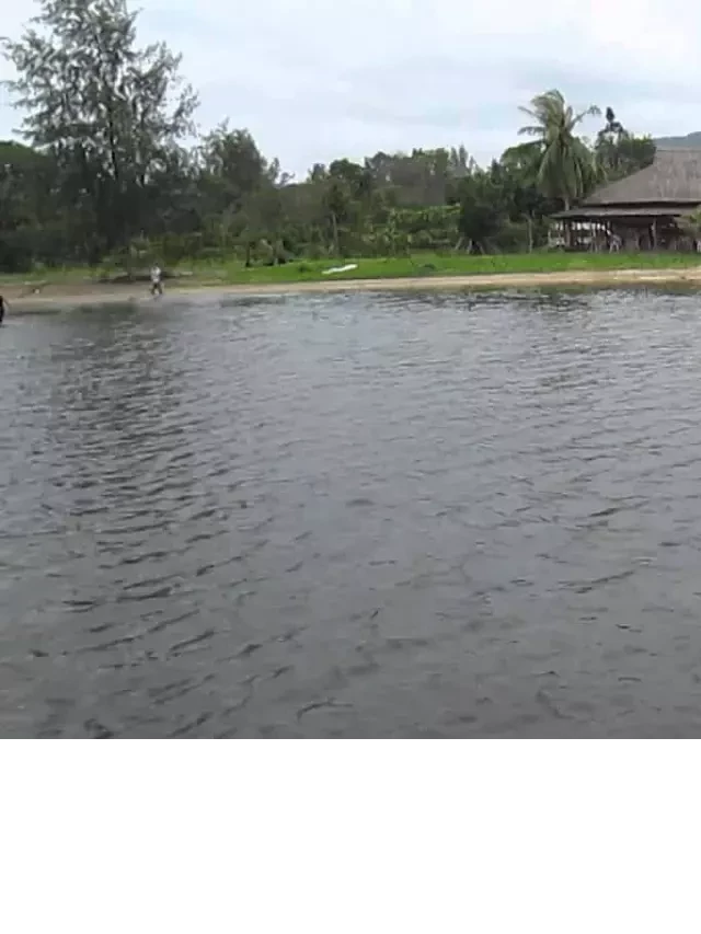   Bãi Thơm Phú Quốc: Khám phá bãi biển hoang dã tuyệt đẹp