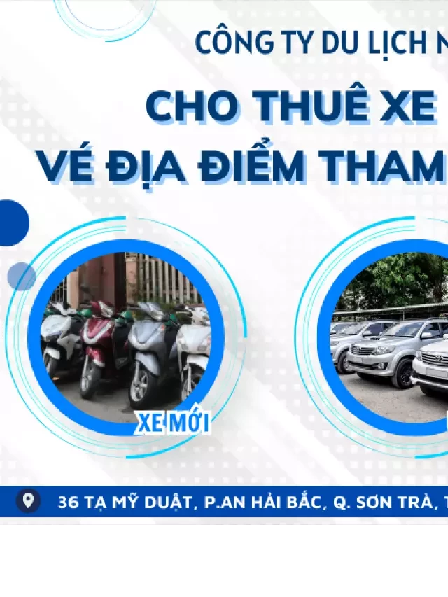   Câu Mực Xuyên Đêm: Một Trải Nghiệm Thú Vị Trên Biển Đà Nẵng