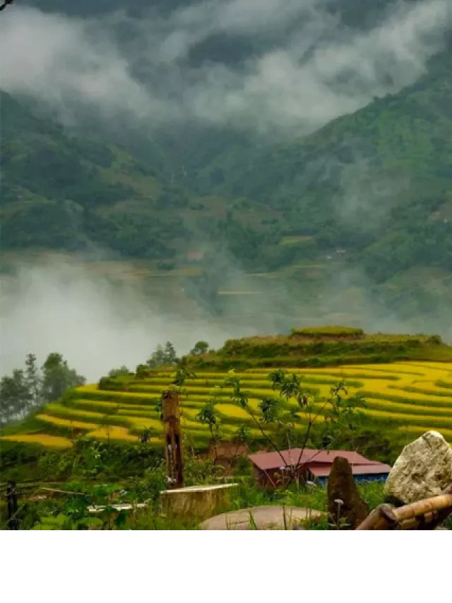   Tour du lịch Mù Cang Chải Sapa 4 ngày 3 đêm: Trọn Gói AZ