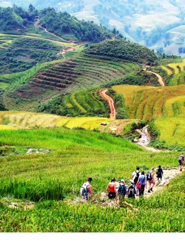   Tour du lịch Sapa từ TPHCM: Khám phá vẻ đẹp thiên nhiên tuyệt vời