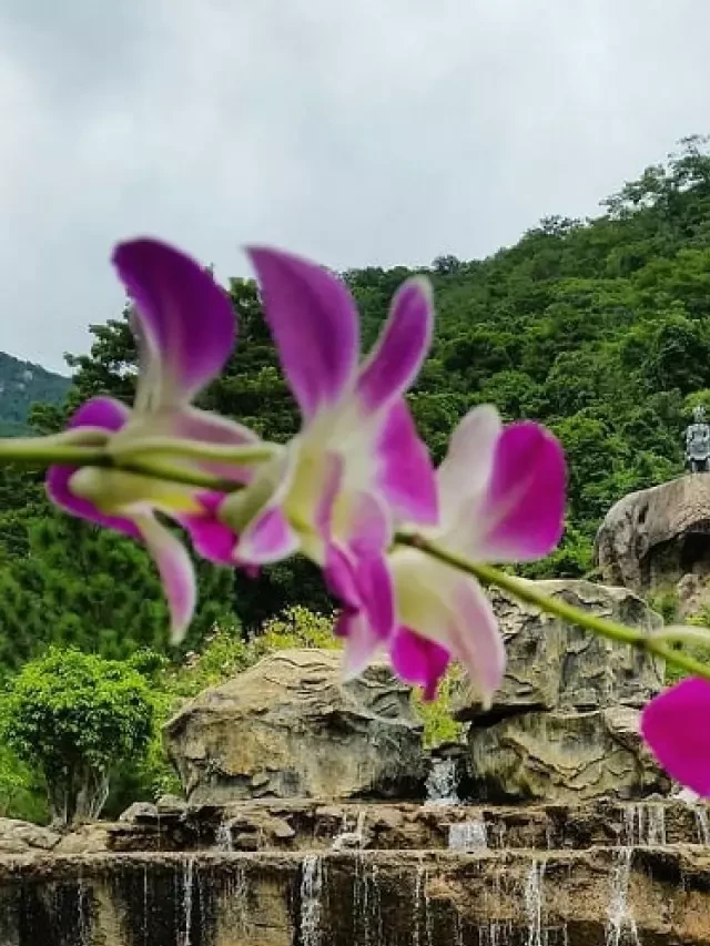   Dạo chơi quên lối về ở khu du lịch suối Hoa Lan Nha Trang