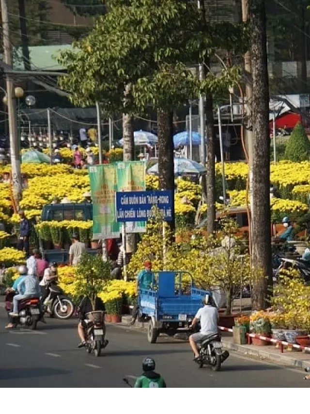   Điểm danh 10 chợ hoa Sài Gòn đẹp say đắm lòng người