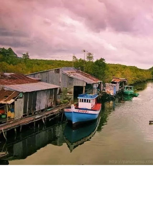   Du lịch Bụi Phú Quốc - Khám phá hòn đảo xinh đẹp