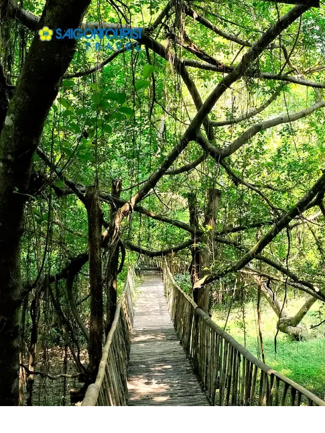   Du lịch Buôn Ma Thuột - Buôn Đôn - KDL sinh thái Kotam [Khám phá miền Tây Nguyên]