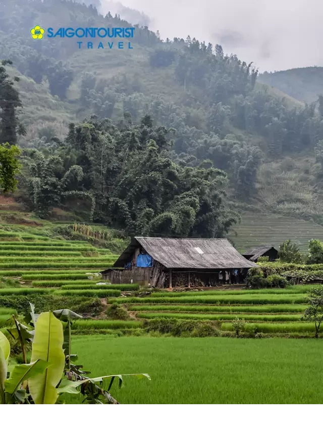   Du Lịch Đà Nẵng - Hà Nội - Lào Cai - Sapa: Kỳ quan thiên nhiên và văn hóa độc đáo