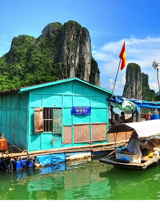   Du Lịch Hạ Long - Cát Bà: Kỳ nghỉ 3 ngày trên du thuyền