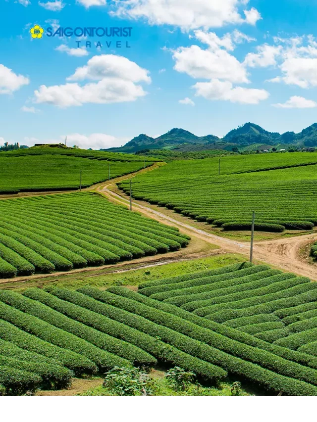   Du Lịch Hòa Bình - Mộc Châu - Điện Biên - Lai Châu - SaPa - Fansipan