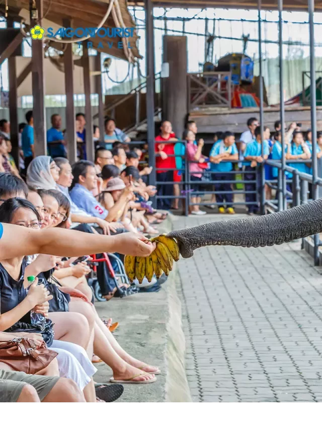   Du Lịch Thái Lan: Hành trình thú vị từ Bangkok đến Pattaya