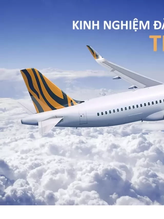   Kinh Nghiệm Đặt Vé Máy Bay TigerAir - Hãng Hàng Không Giá Rẻ Tại Singapore