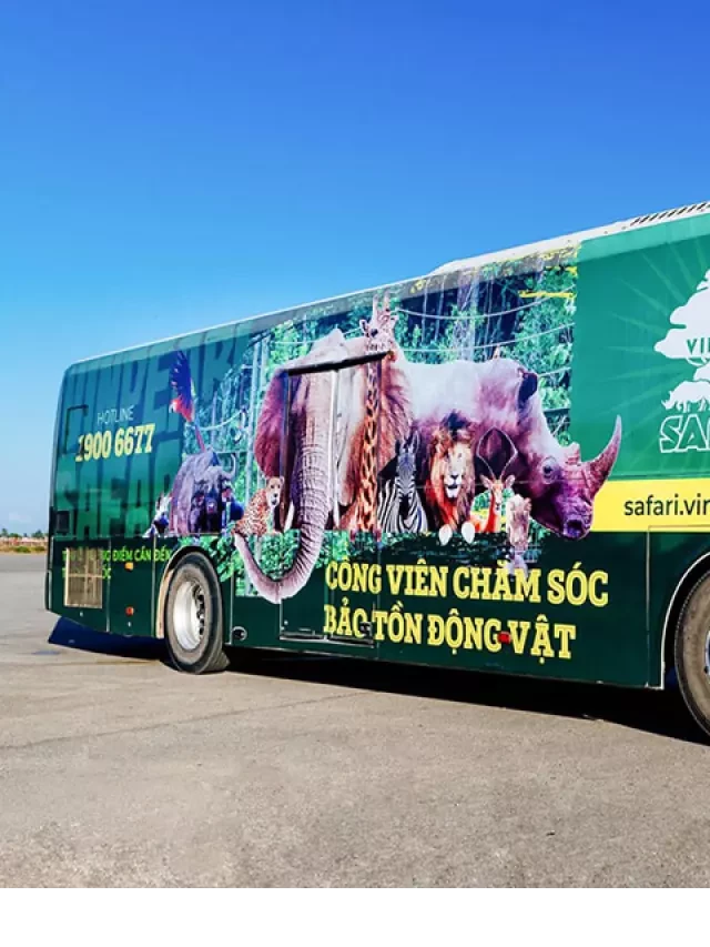   Lịch trình xe bus Vinpearl Phú Quốc: Hành trình hấp dẫn đến Vinwonders và Vinpearl Safari