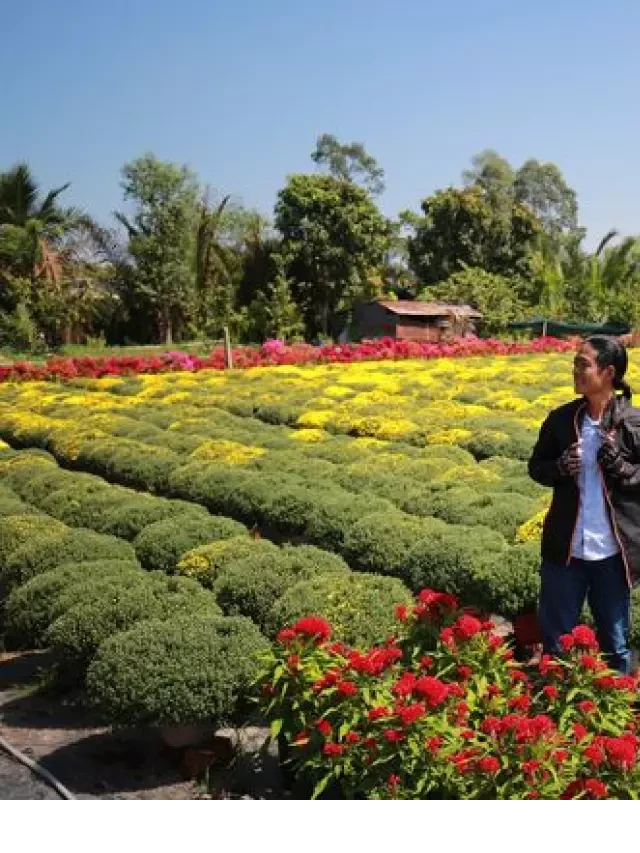   Muốn có chuyến du lịch an toàn và vui vẻ vào ngày Tết, hãy ghi nhớ những điều này