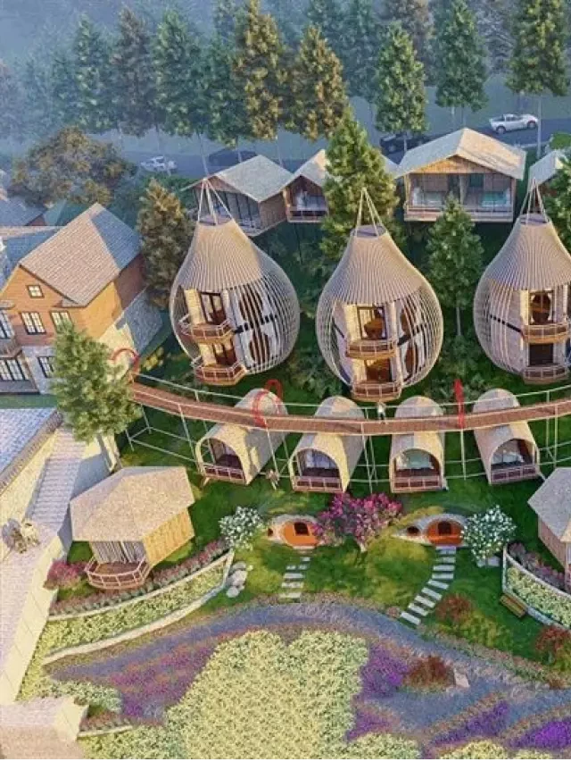   Resort Tam Đảo | Top 7 Resort View Đỉnh, Được Yêu Thích Nhất 2023