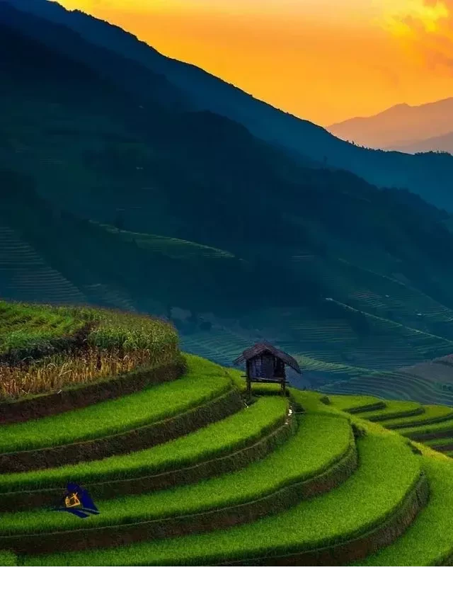   Sapa Overnight Tour: Explore the Enchanting Beauty of Northern Vietnam