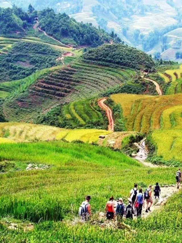   Sapa Trekking: Bí quyết tuyệt vời, lộ trình và giá cả để có chuyến đi tuyệt vời!