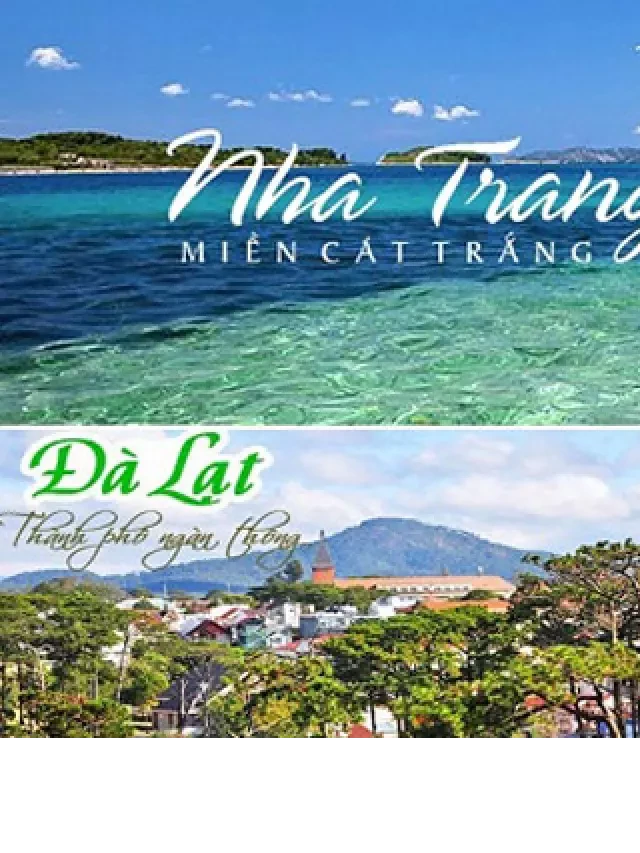   Sổ tay kinh nghiệm du lịch Nha Trang - Đà Lạt: Khám phá hai điểm đến tuyệt vời