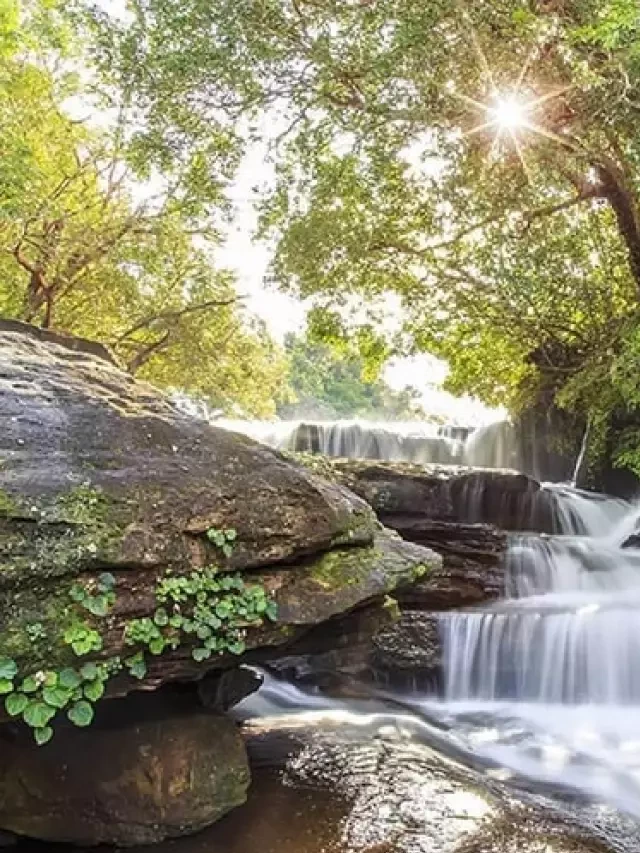   Kỳ quan thiên nhiên - Suối Đá Bàn Phú Quốc: Khám phá không gian hấp dẫn này!