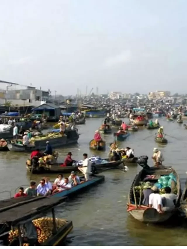   Tour Du Lịch Cần Thơ Phú Quốc: Khám Phá Thiên Đường Biển Xanh