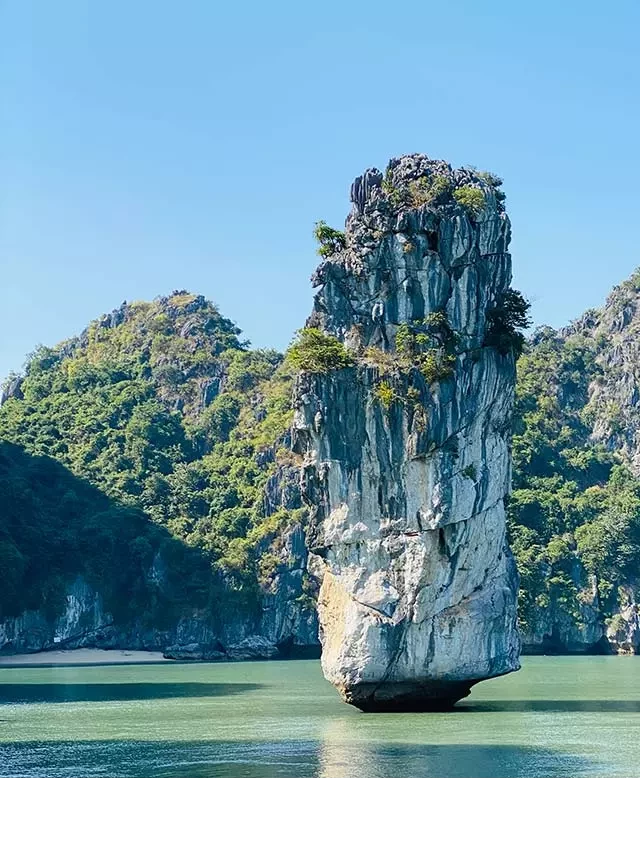   Tour du lịch Cát Bà - Vịnh Lan Hạ: Khám phá vẻ đẹp của Cát Bà trong một ngày