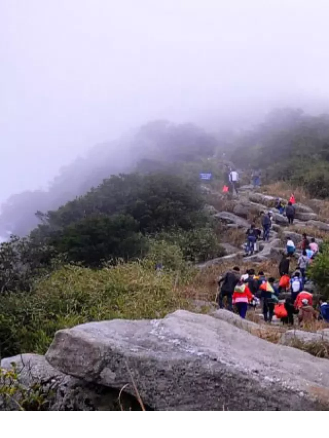   Du lịch Hạ Long Yên Tử 3 ngày 2 đêm: Trải nghiệm tuyệt vời