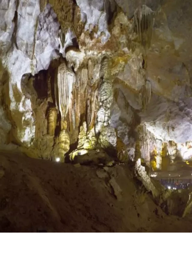   Tour du lịch Huế – Quảng Bình 4 ngày 3 đêm | Khám phá Động Phong Nha – Động Thiên Đường – Vũng Chùa