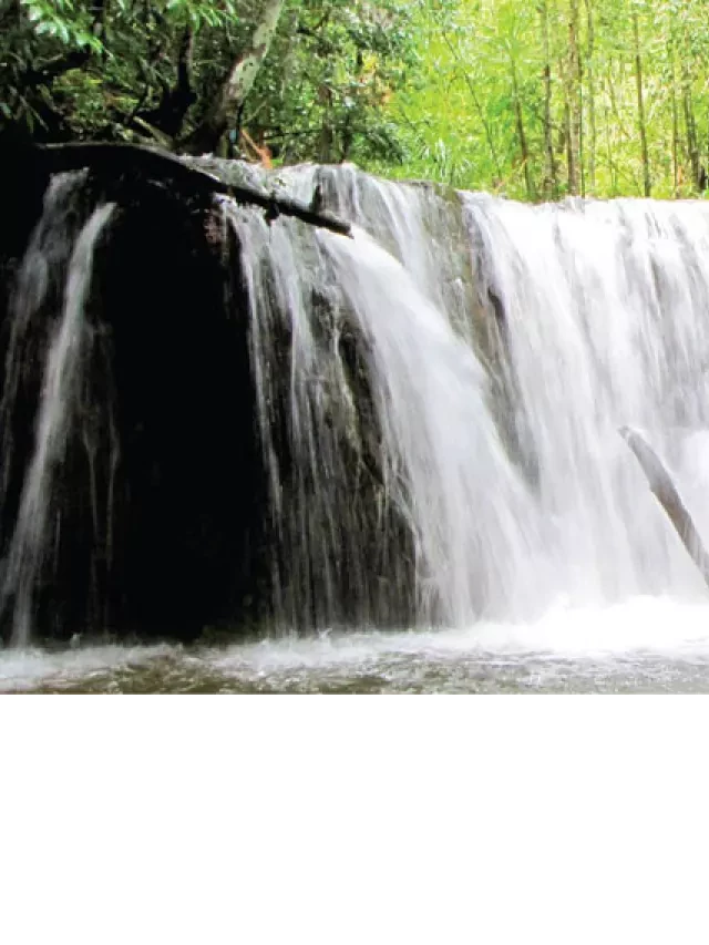   Tour Du Lịch Phú Quốc 3 Ngày 2 Đêm: Khám phá đảo ngọc hấp dẫn