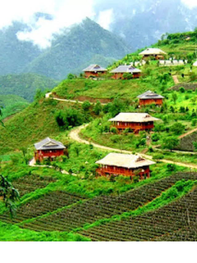   Tour du lịch Sapa 3 ngày 4 đêm: Khám phá vẻ đẹp của vùng cao nguyên