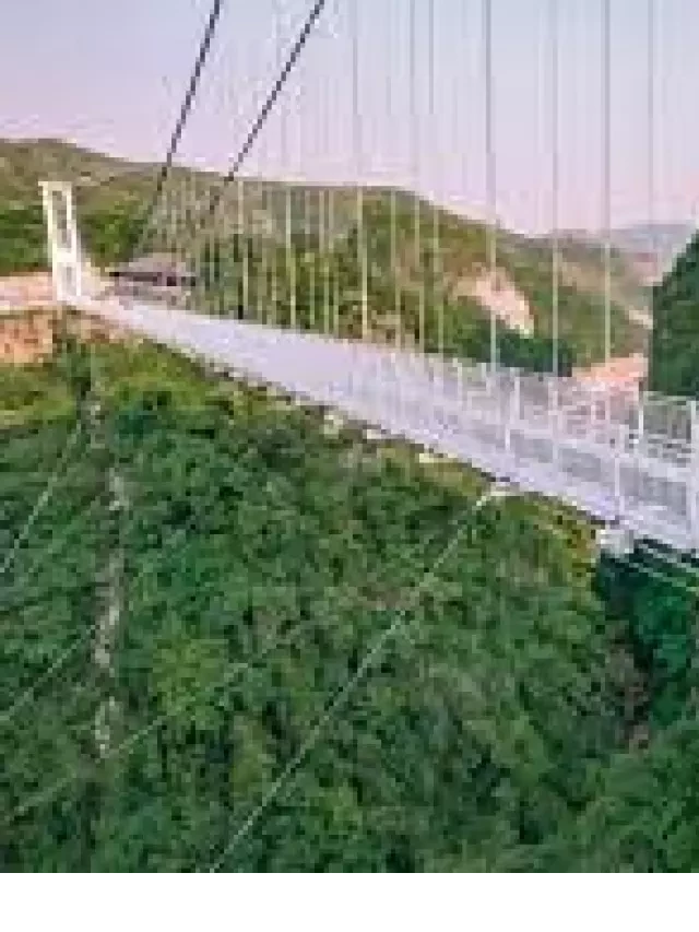   Tour Hạ Long-Mộc Châu-Hạ Long 2 Ngày 1 Đêm