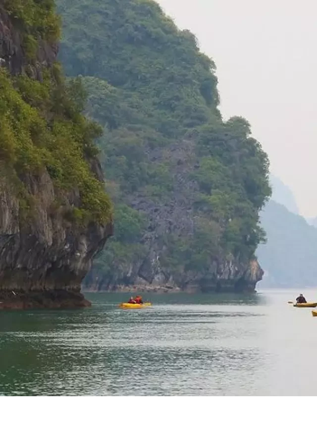   Tour Hạ Long – Sa Pa Trọn Gói 3 Ngày 2 Đêm