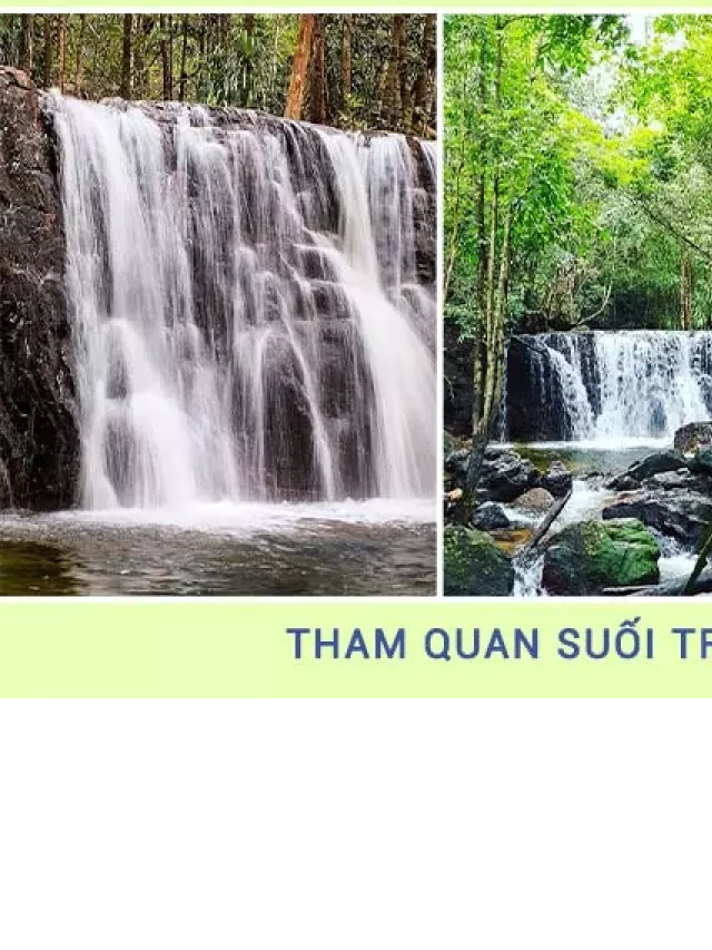   Tour Phú Quốc 2 Ngày 1 Đêm: Khám phá hòn đảo thiên đường