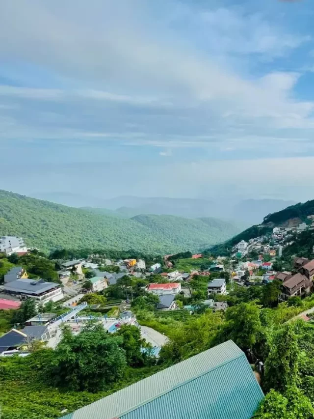   Tour Tam Đảo 1 ngày - Khám phá vẻ đẹp thiên nhiên miền Bắc