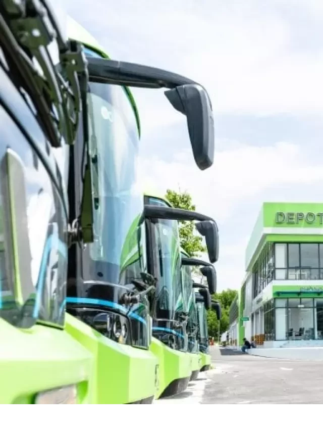   Lịch trình xe bus VinWonders Phú Quốc: KẾ HOẠCH HẤP DẪN CHO DU LỊCH PHÚ QUỐC