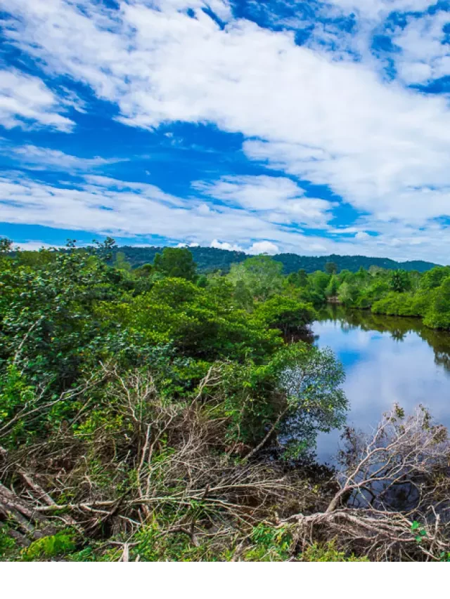   Vườn quốc gia Phú Quốc – Một trải nghiệm trekking thú vị vào mùa khô