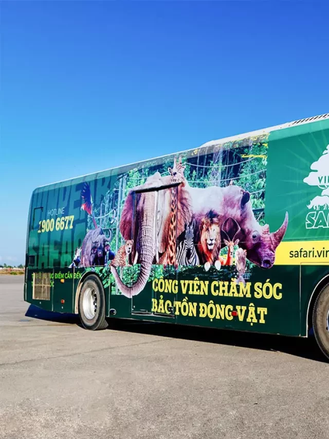   Xe Bus Phú Quốc: Lịch trình tuyến VinWonders và Vinpearl Safari