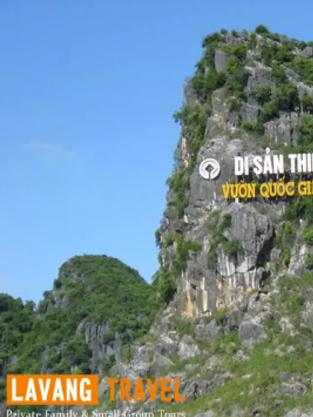   Thuyết minh về Động Phong Nha Kẻ Bàng: Di sản văn hóa thần tiên