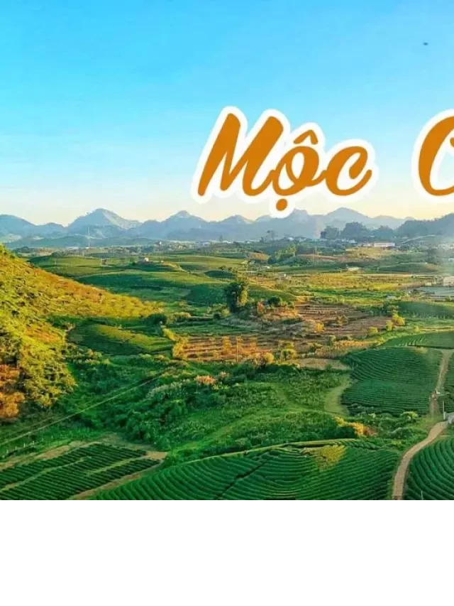   Du lịch Mộc Châu 2 ngày 1 đêm: Khám phá vẻ đẹp thiên nhiên tuyệt vời của Sơn La