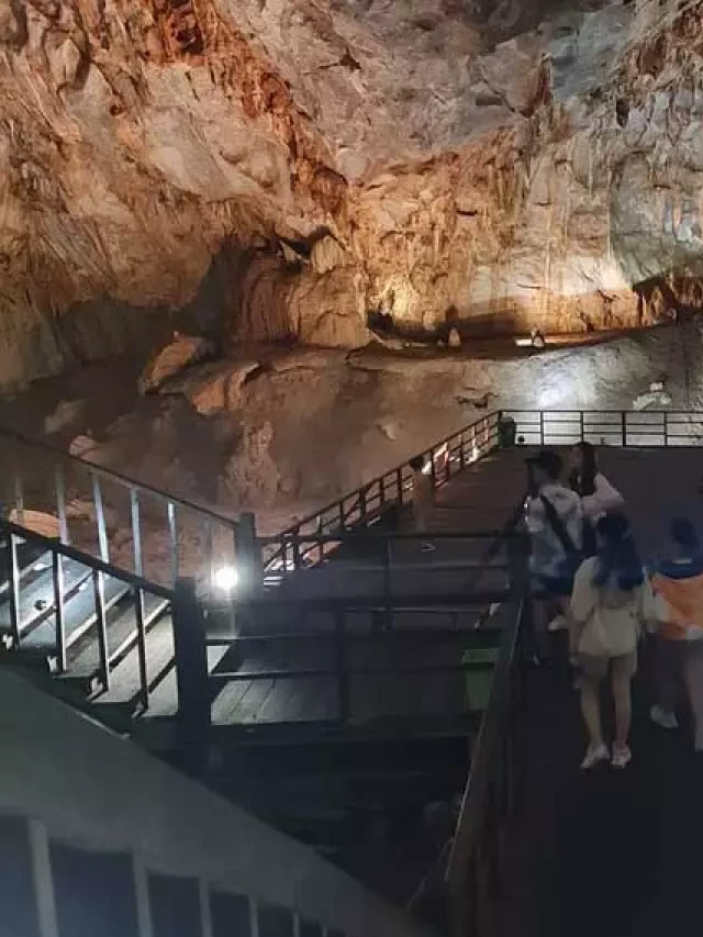   Tour Động Thiên Đường – Động Phong Nha 1 Ngày: Khám Phá Vẻ Đẹp Tuyệt Vời