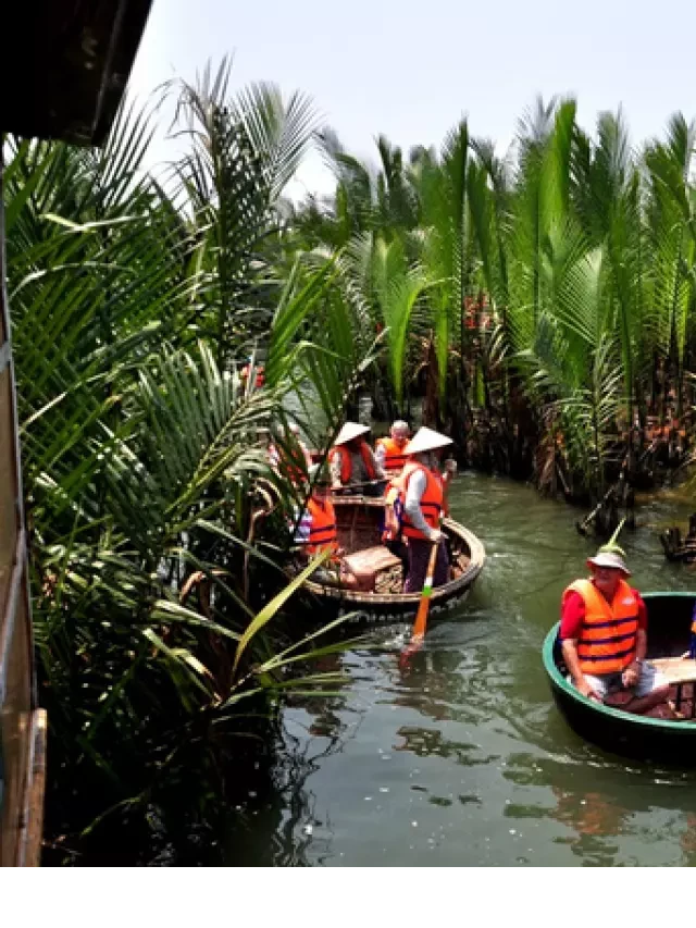   Tour Hải Phòng Đà Nẵng: Khám phá vùng đất hấp dẫn miền Trung