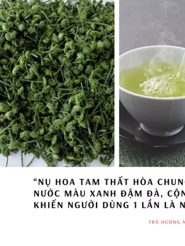   Trà Nụ Hoa Tam Thất - Tăng Cường Sức Khỏe Vàng