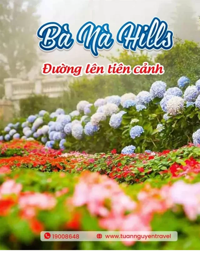   Khám phá Tour Bà Nà Hills cao cấp với ưu đãi hấp dẫn