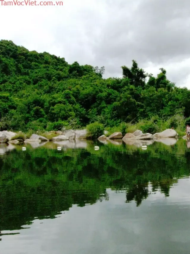   Tour Đà Nẵng – Quy Nhơn: Khám phá vẻ đẹp hoang sơ và dịu dàng của thành phố biển