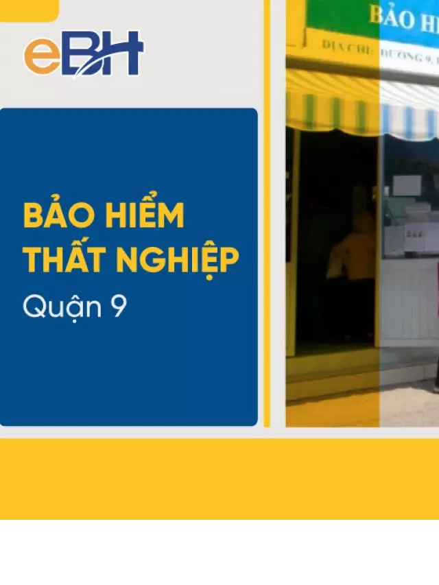   Bảo hiểm thất nghiệp Quận 9: Địa chỉ nhận giải quyết chế độ