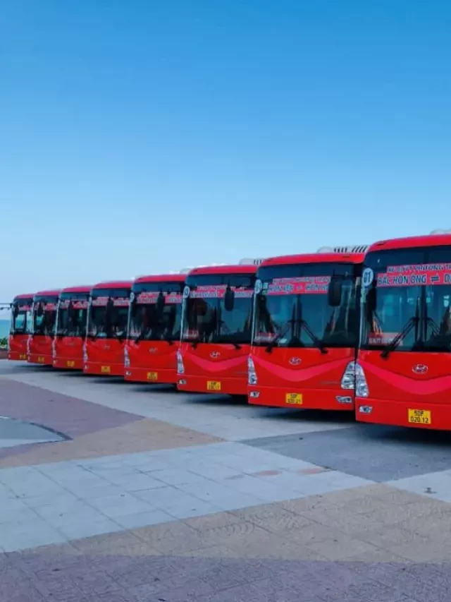   Nhà Xe Nha Trang đi Vũng Tàu: Hành trình tuyệt vời đến thành phố biển Vũng Tàu