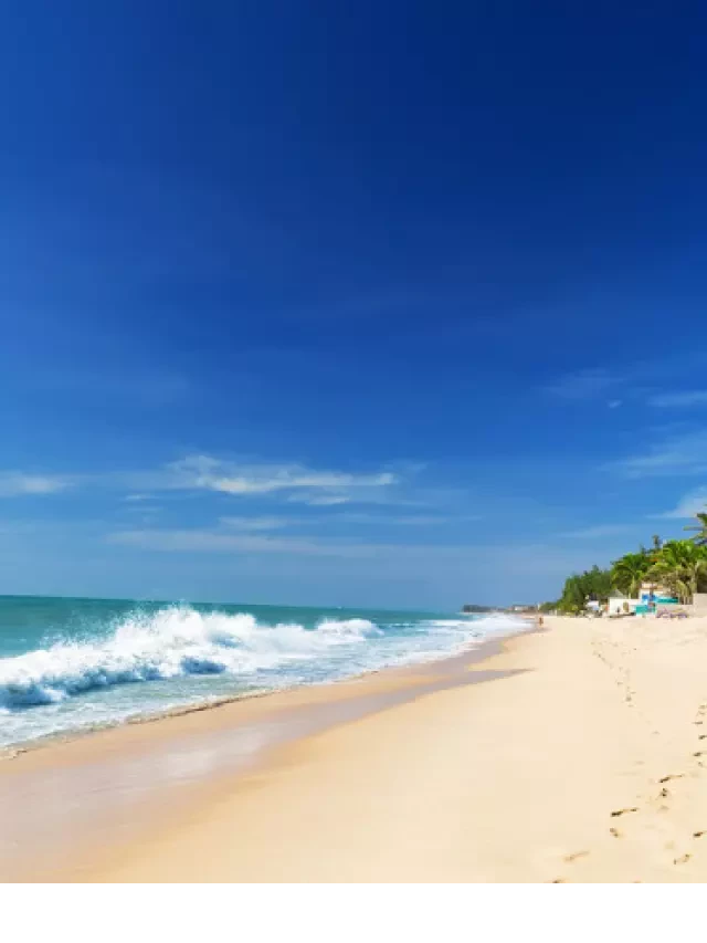   Review du lịch Phan Thiết - Mũi Né: Chọn thời điểm nào để có kỳ nghỉ hoàn hảo?