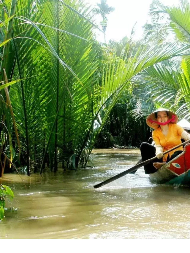   Gam màu đa sắc của đời sống hằng ngày nơi miền Tây sông nước năm 2024