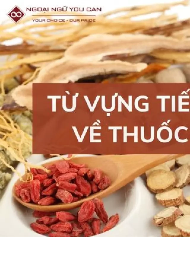   Từ vựng tiếng Trung về Thuốc Đông Y: Khám phá những điều thú vị