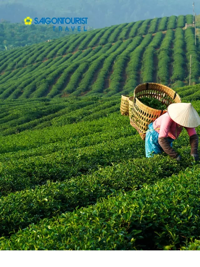   Du lịch Tây Bắc - Mai Châu - Mộc Châu: Khám phá vẻ đẹp thiên nhiên hoang sơ