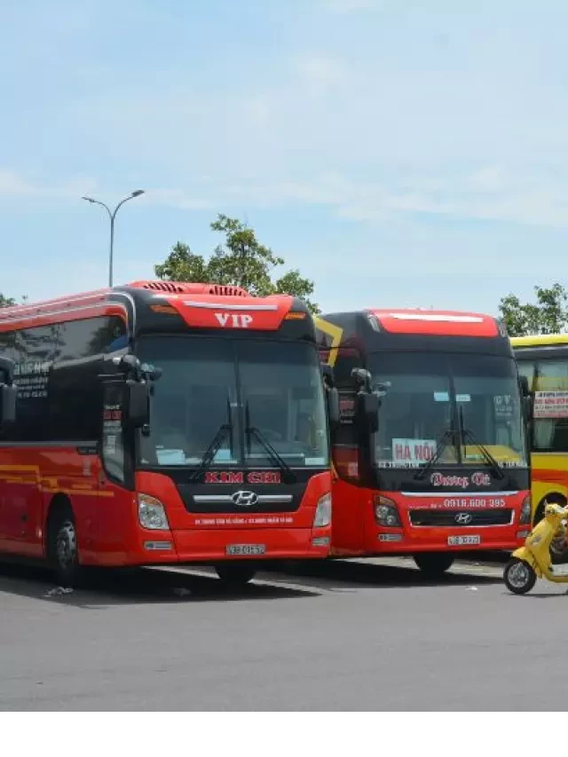   Xe Khách Đà Nẵng Quảng Bình | TOP 7 Nhà Xe Có Dịch Vụ Tốt Nhất Hiện Nay